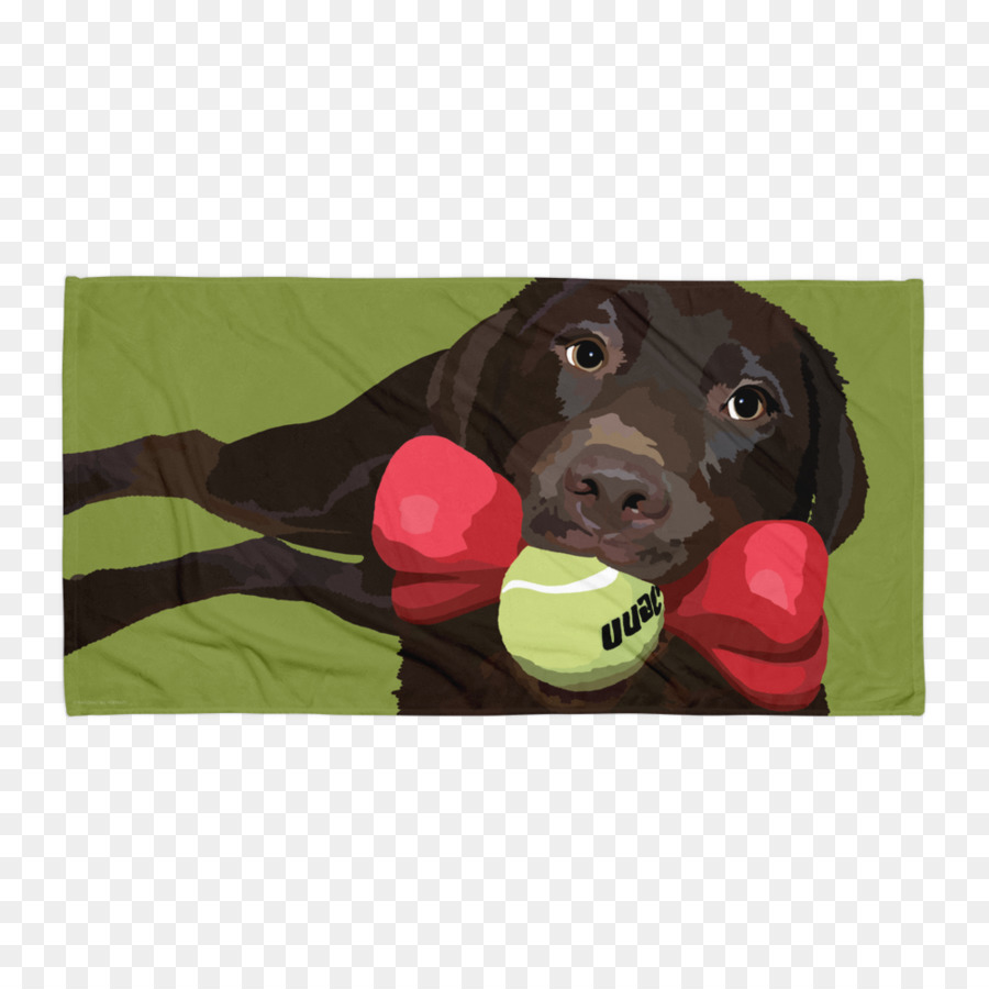 Le Labrador Retriever，Boykin Spaniel PNG