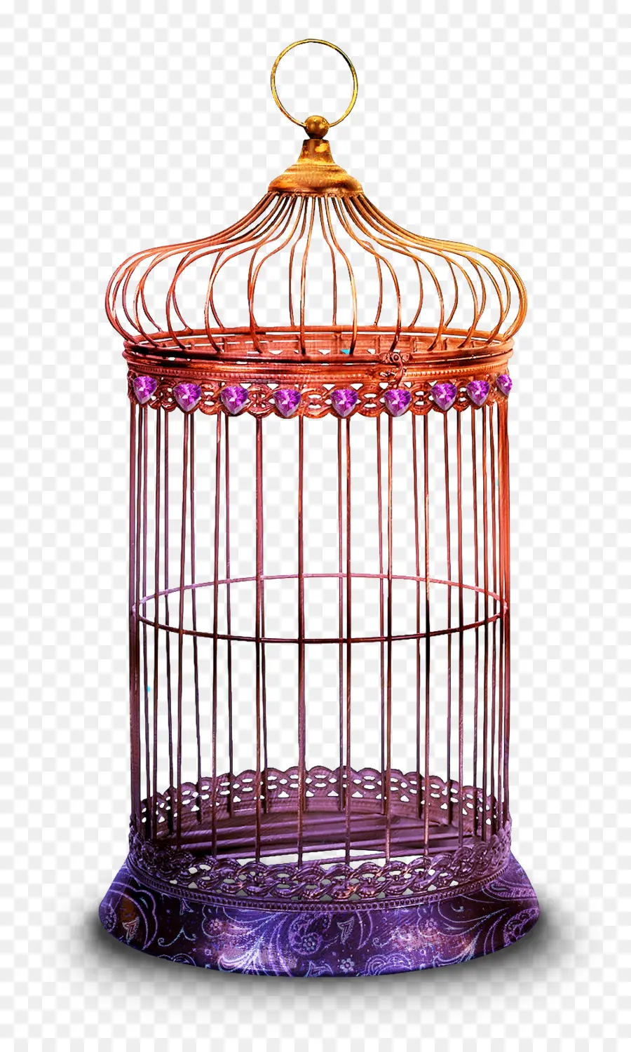 Cage à Oiseaux，Oiseau PNG