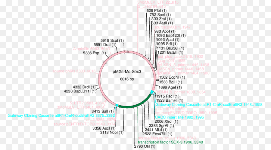 Papier，Diagramme PNG