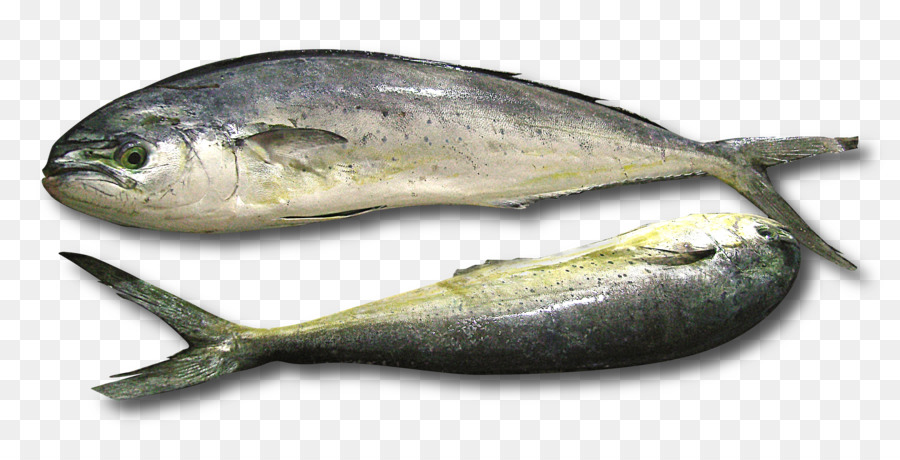 Poisson，Fruit De Mer PNG