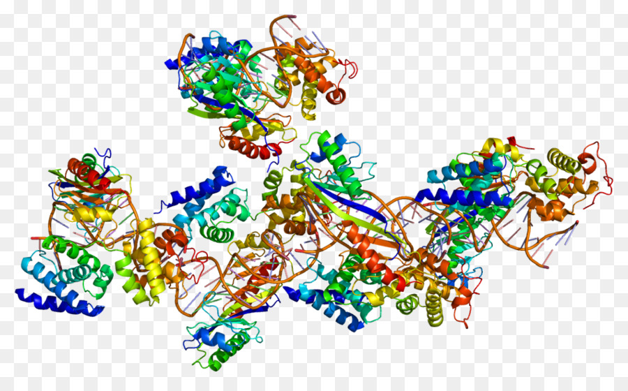 Tatabinding Protéines，Facteur De Transcription Ii B PNG
