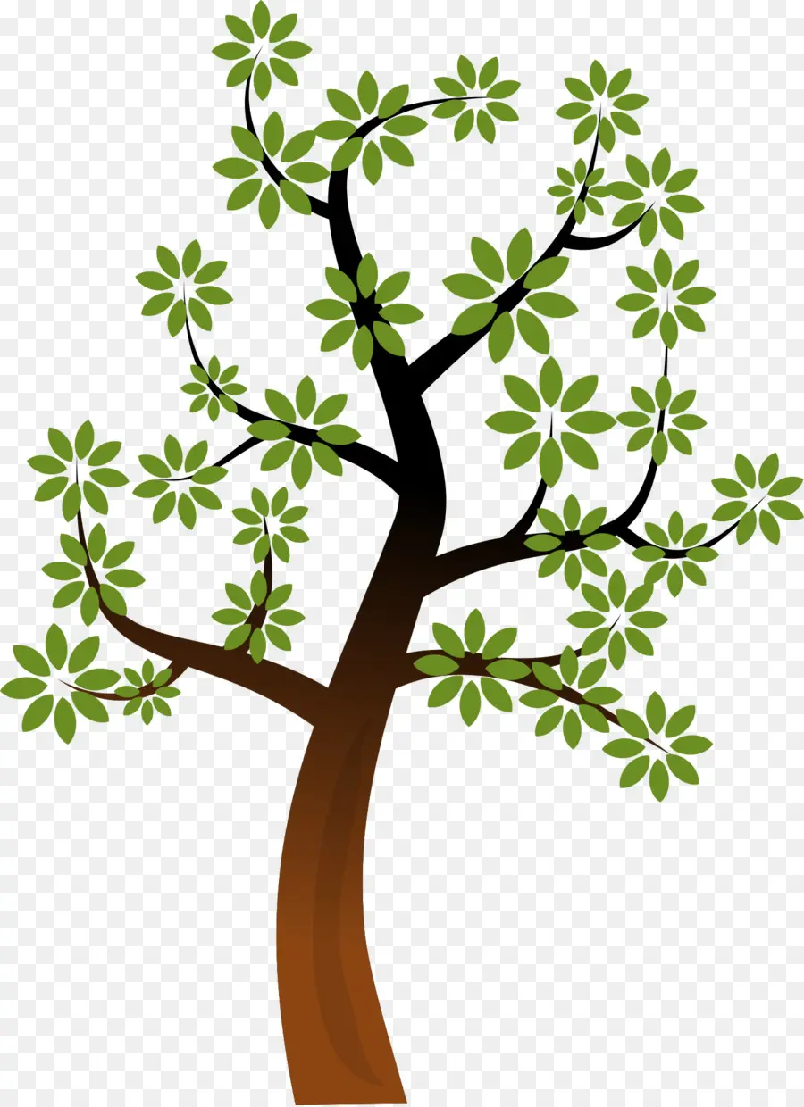 Arbre，Feuilles PNG