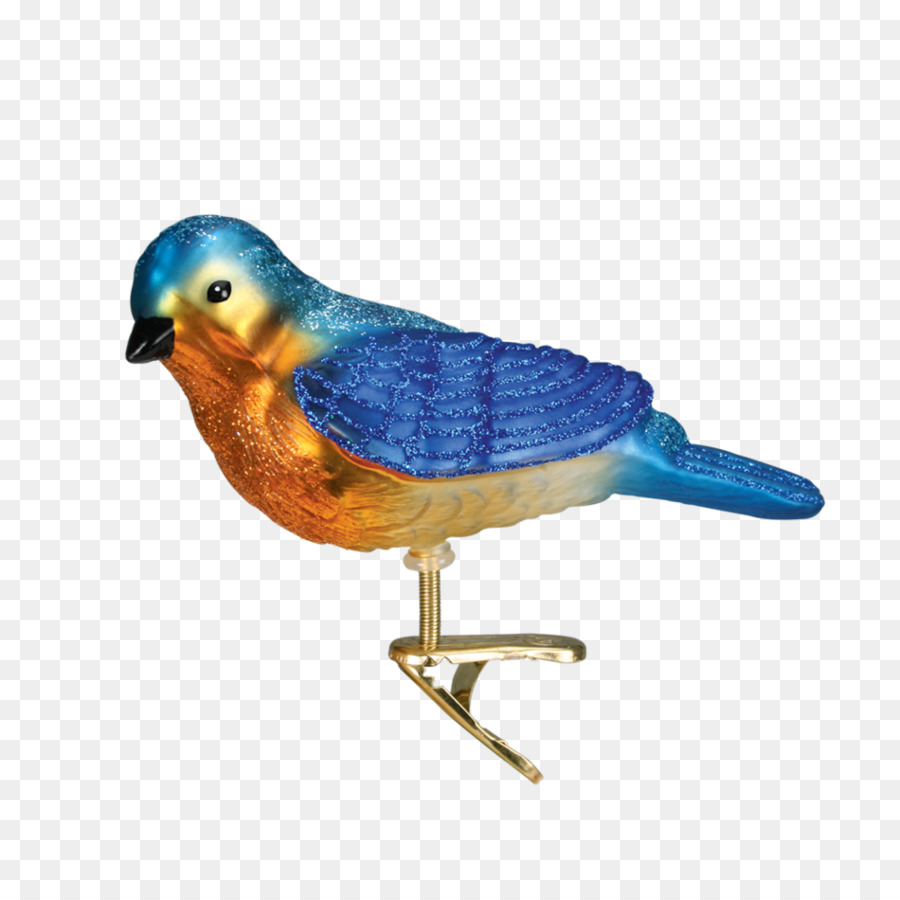 Oiseau，Bluebird De L Ouest PNG