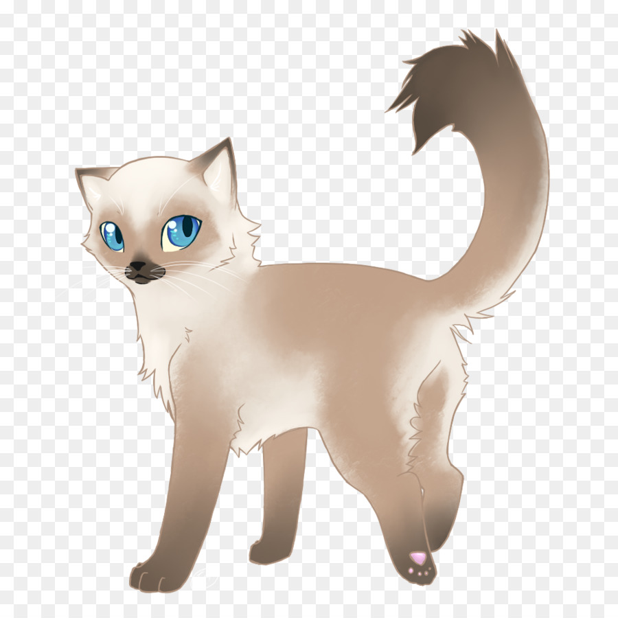 Chat Mignon，Yeux Bleus PNG