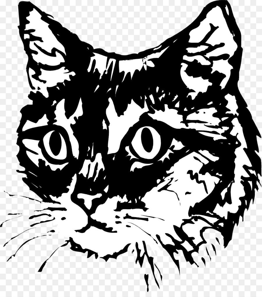 Chat，Animal De Compagnie PNG