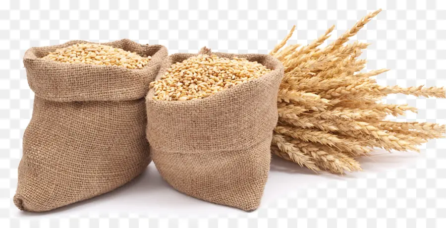 La Douleur Du Cou，Grains Entiers PNG