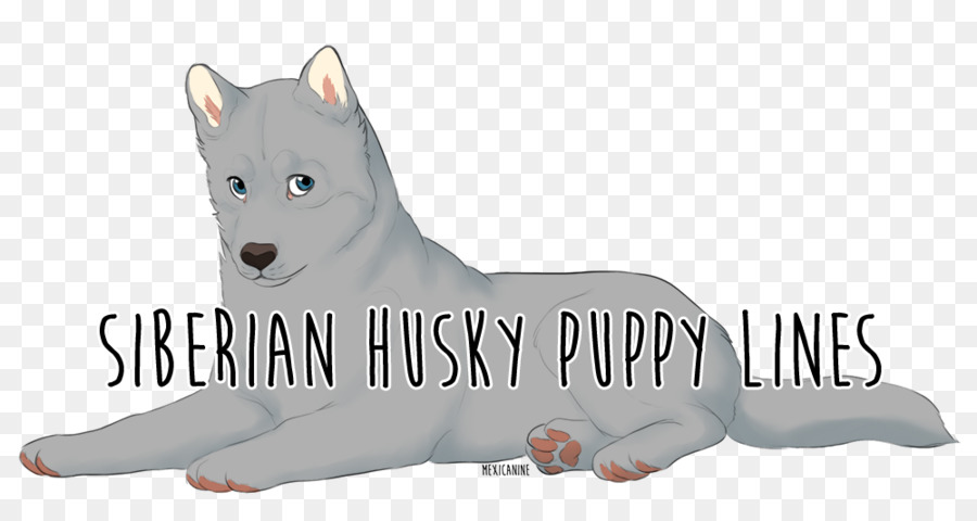 Husky Sibérien，Chat PNG