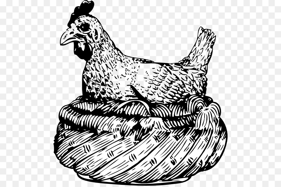 Poulet，Dessin PNG