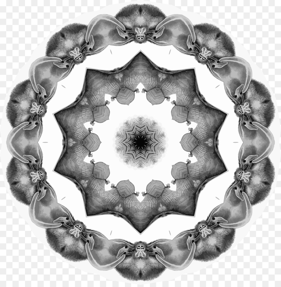 Cercle，Symétrie PNG