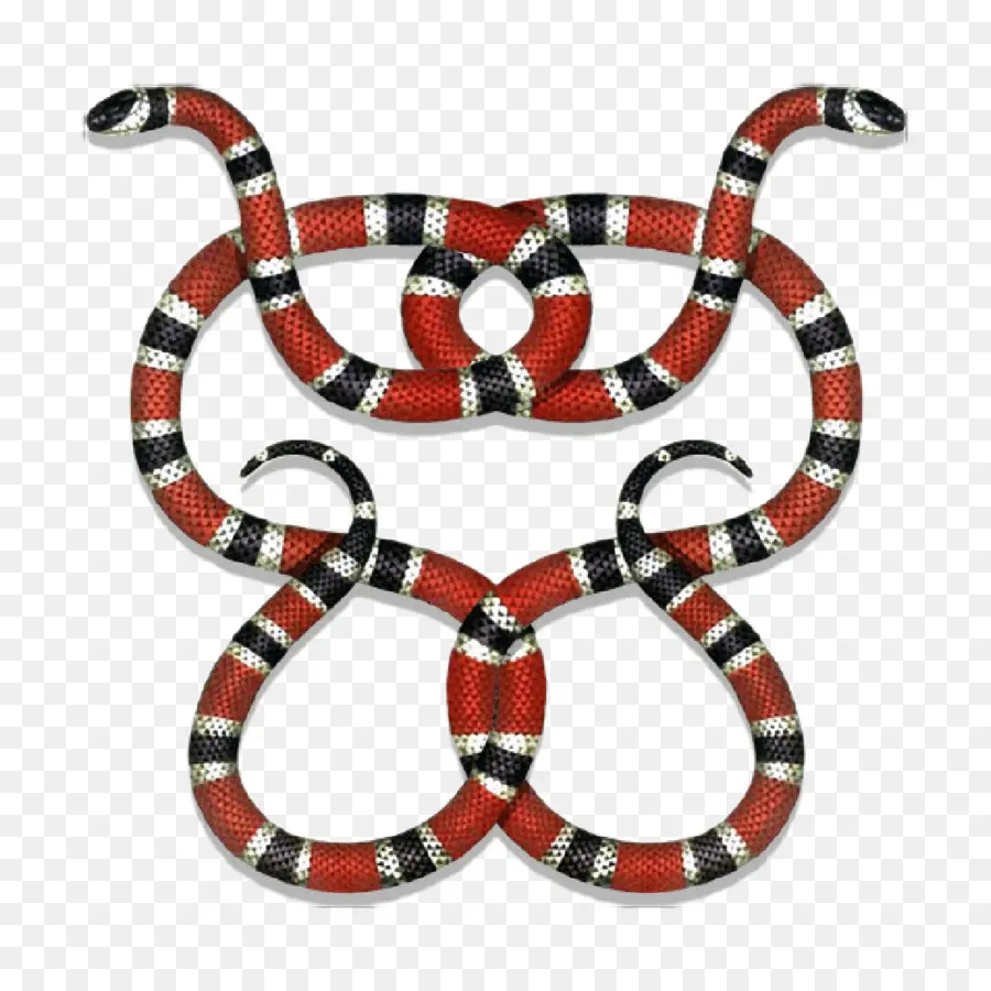 Serpent，Serpent De Corail PNG