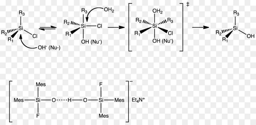 Xénon Oxytétrafluorure，Structure De Lewis PNG