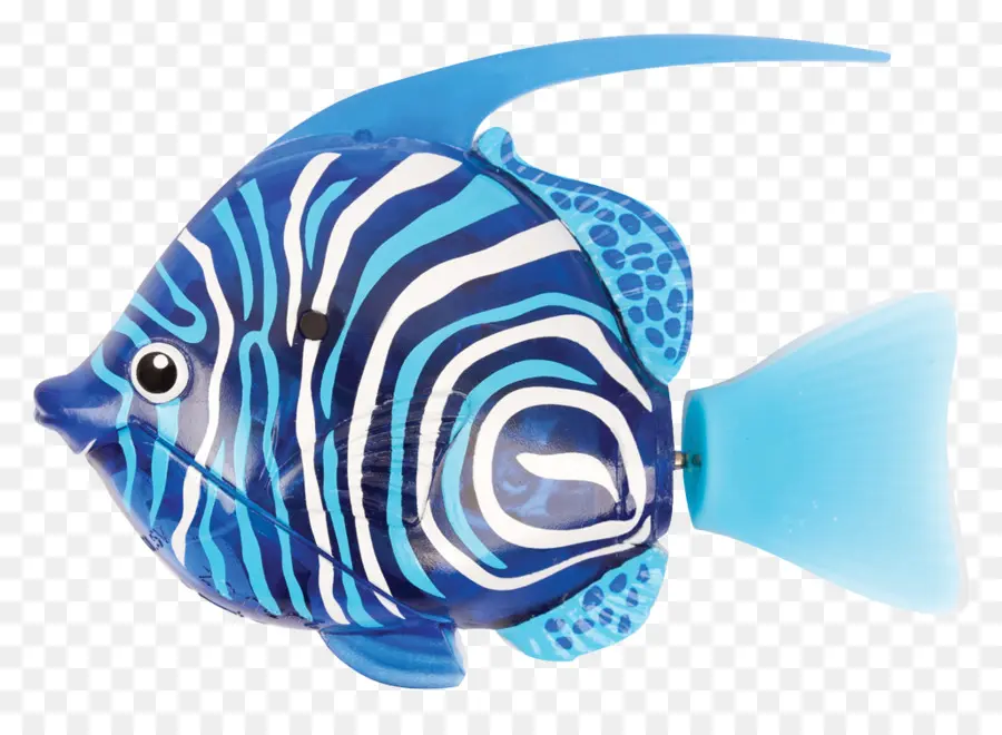 Poisson Bleu，Aquatique PNG