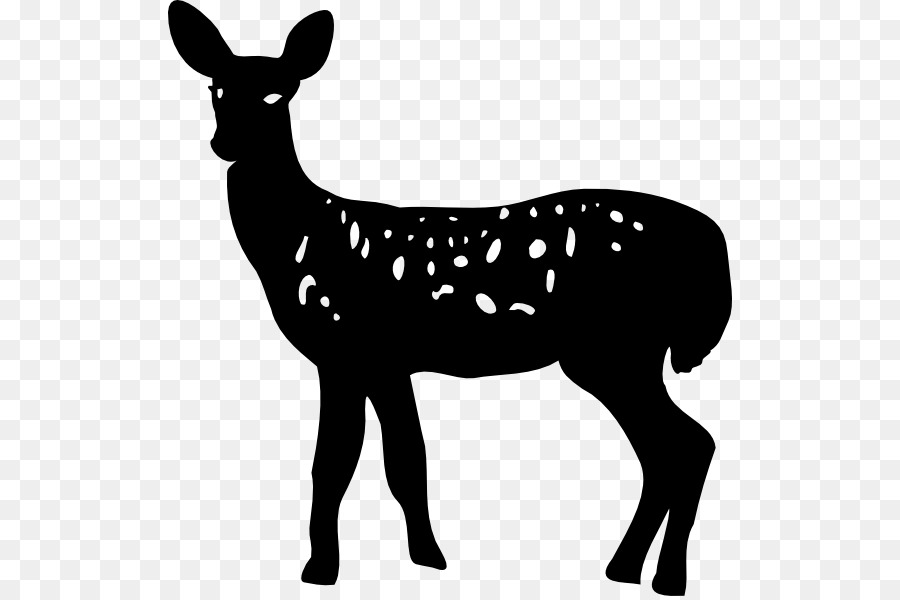 Cerf，Silhouette PNG