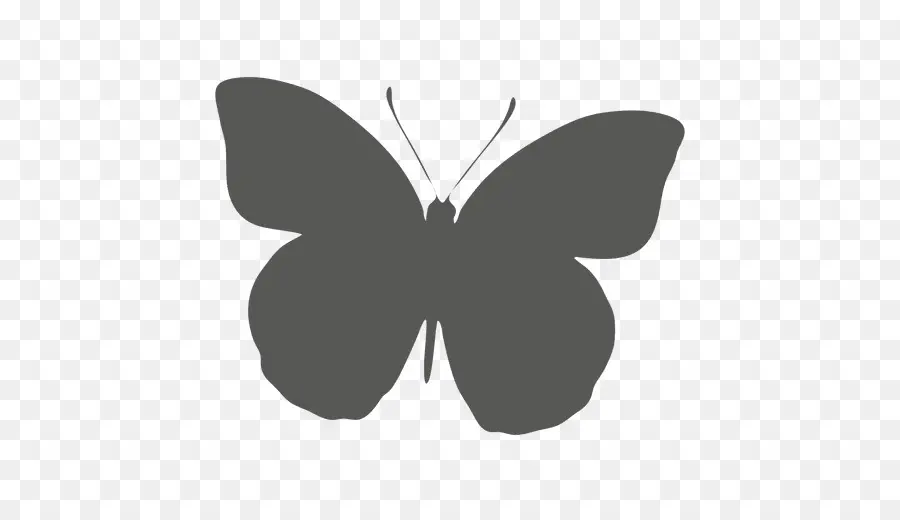 Papillon，Ailes PNG