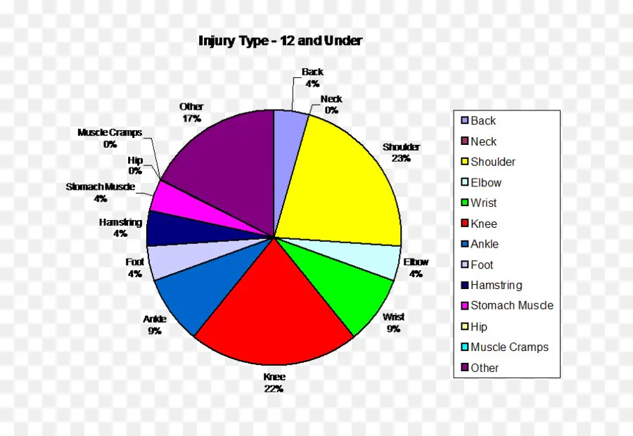 Tableau Des Blessures，Graphique Circulaire PNG