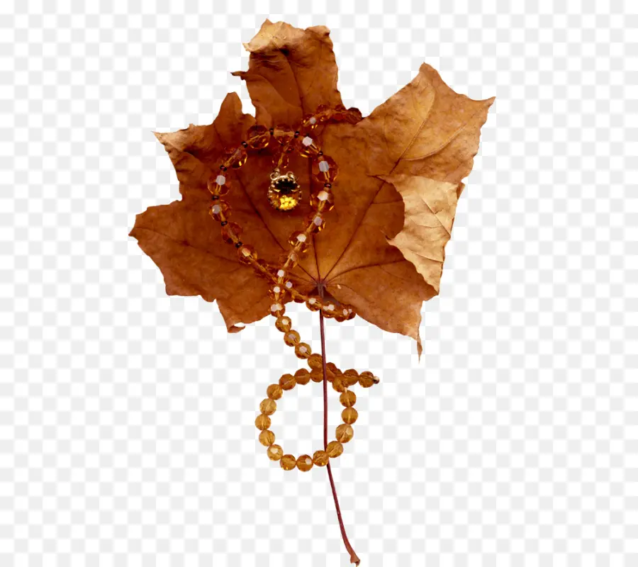 Feuille D'automne，Feuille PNG