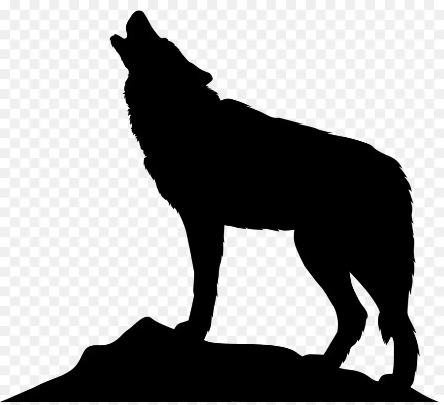 Loup Gris，Silhouette PNG