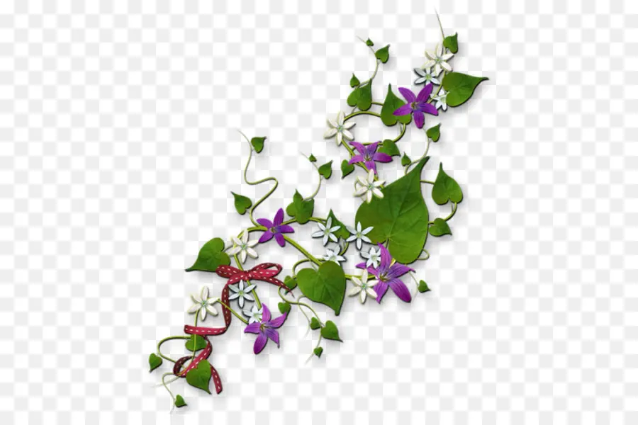 Conception Florale，Fleurs PNG