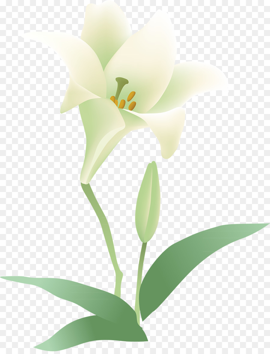 Fleur，La Floraison De La Plante PNG