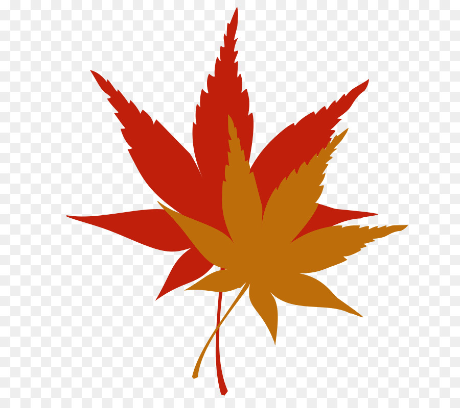 Feuilles D'érable，Automne PNG