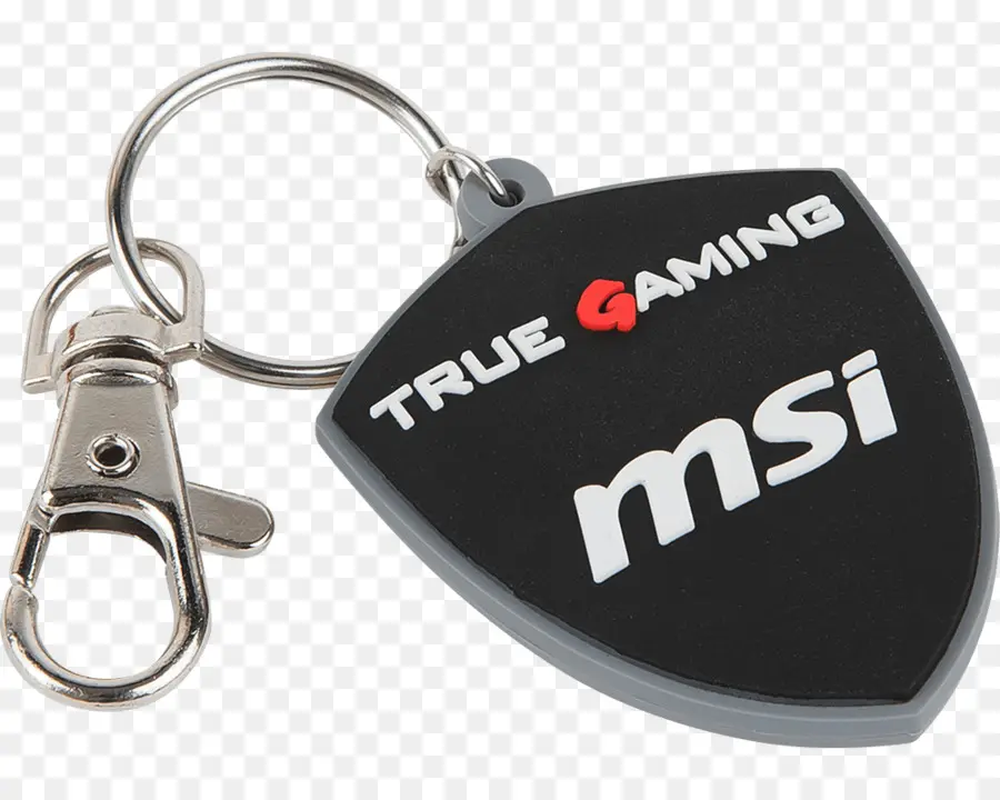 Porte Clés Msi，Jeux PNG