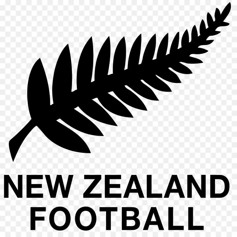 Équipe Nationale De Football Néo Zélandaise，Confédération De Football Océanique PNG