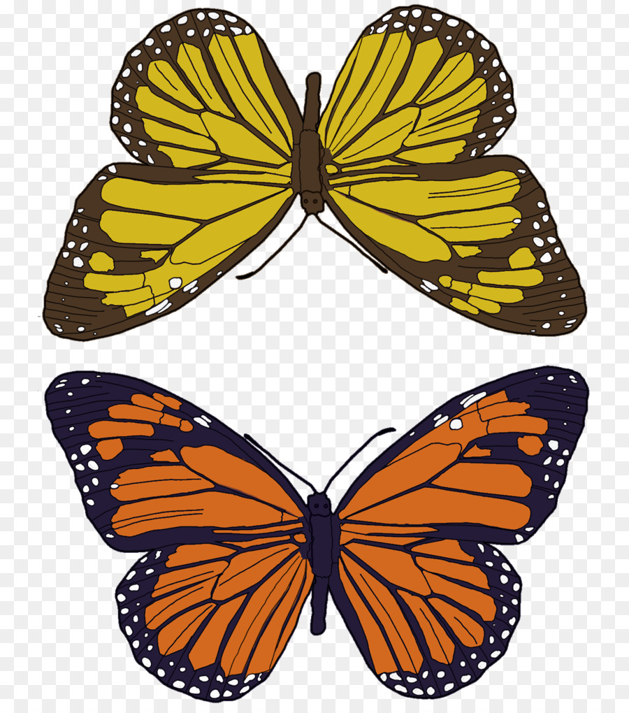 Papillons Colorés，Vol PNG