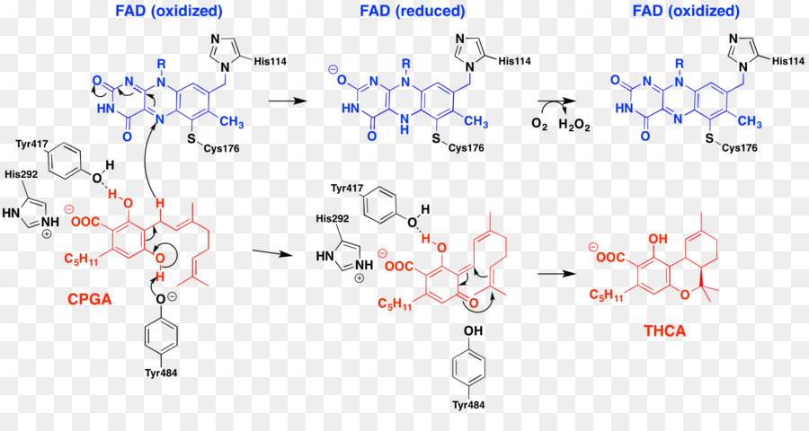 Diagramme De Réaction Chimique，Chimie PNG