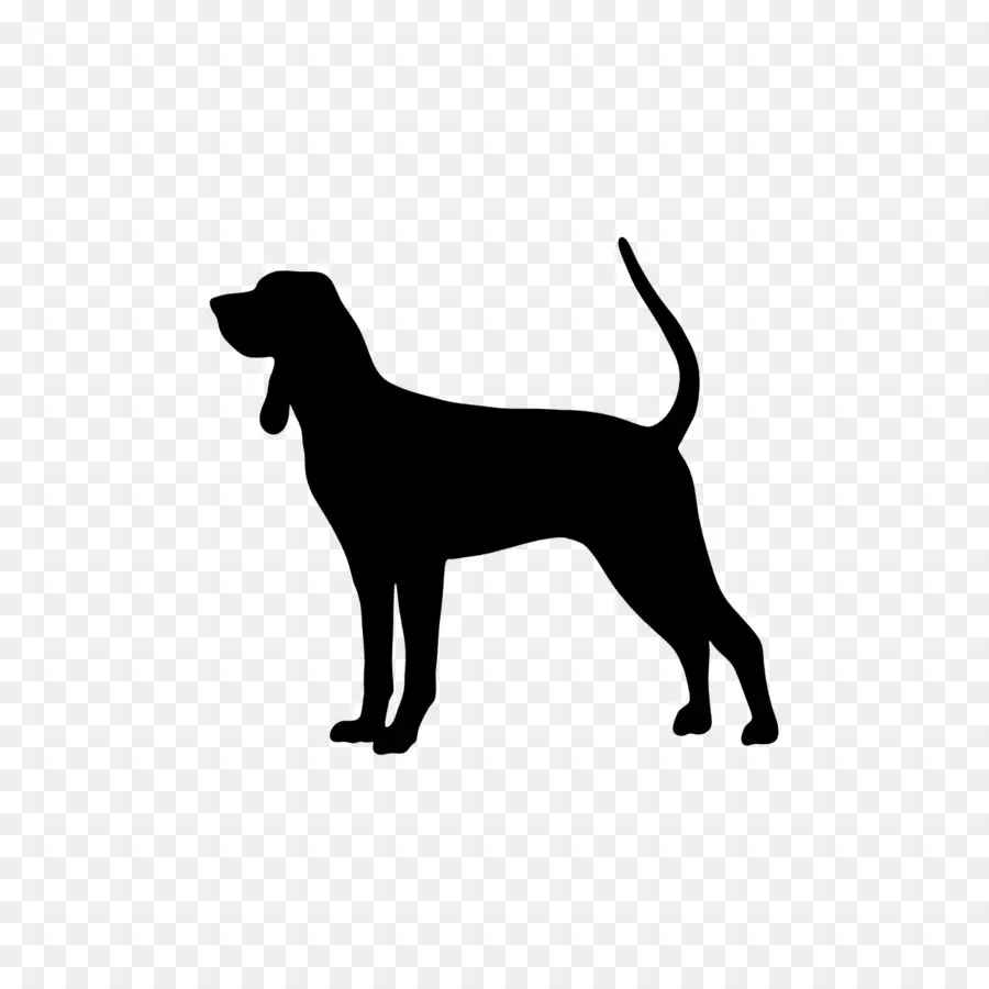 Coonhound Noir Et Feu，Arbre Walker Coonhound PNG