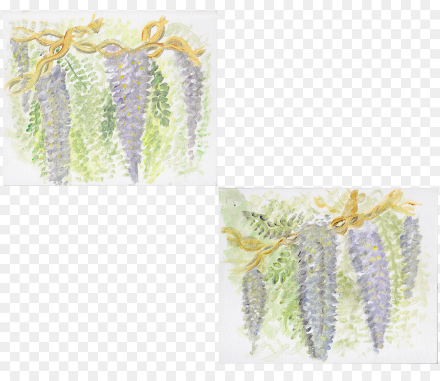 Lilas，Violet PNG