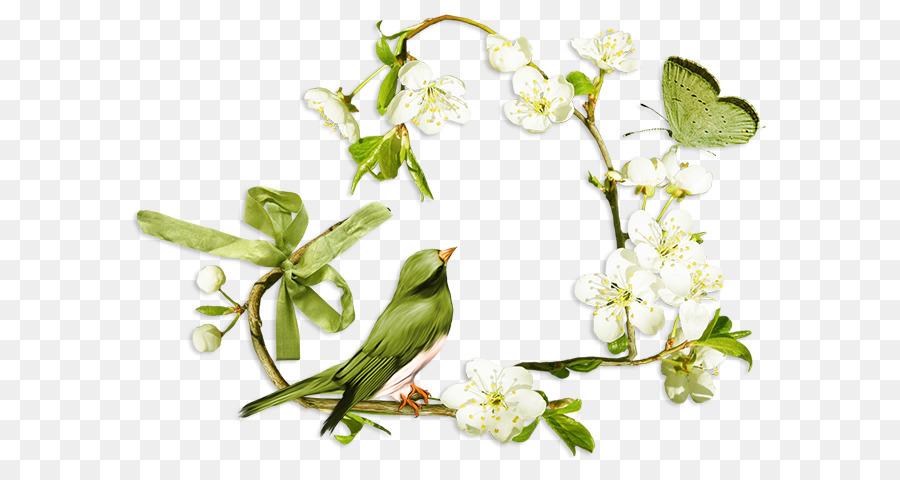 Oiseau Et Fleurs，Oiseau PNG