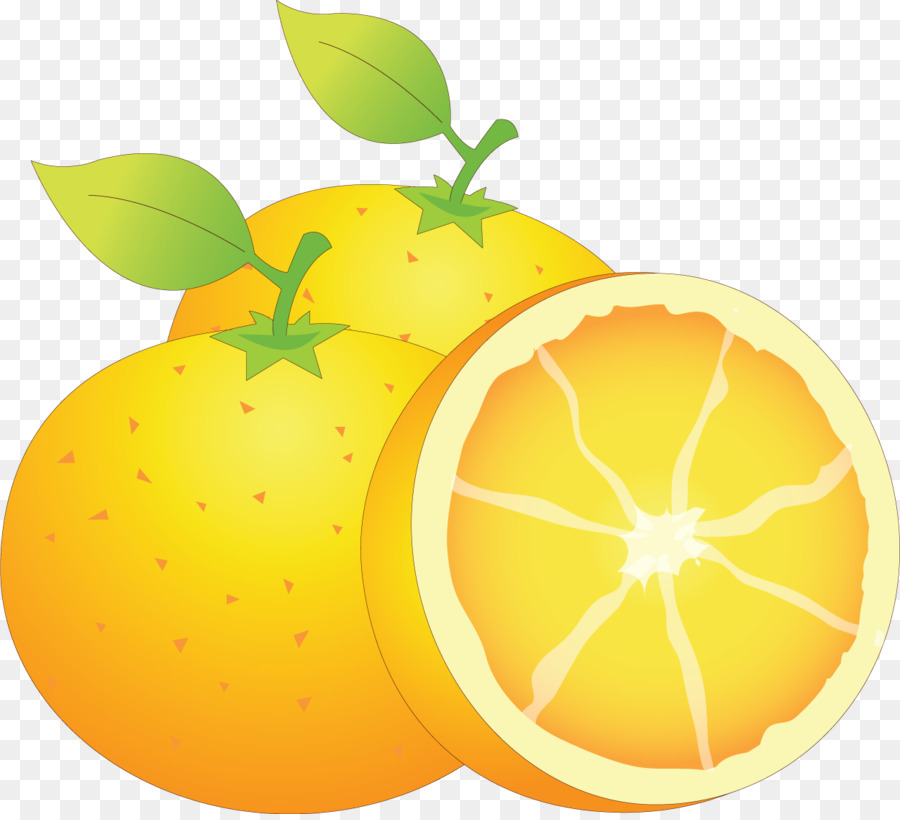 Orange，Agrumes PNG