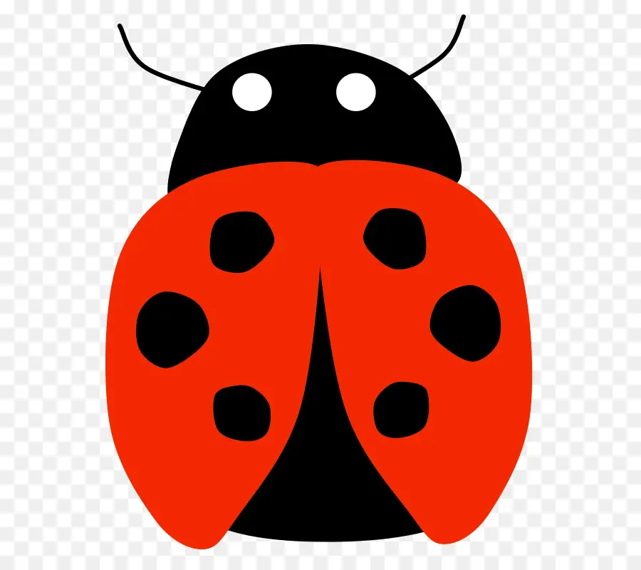 Coccinelle，Rouge PNG