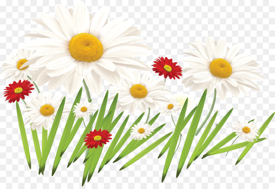 Fleur Dessin Couleur Png Fleur Dessin Couleur Transparentes Png Gratuit