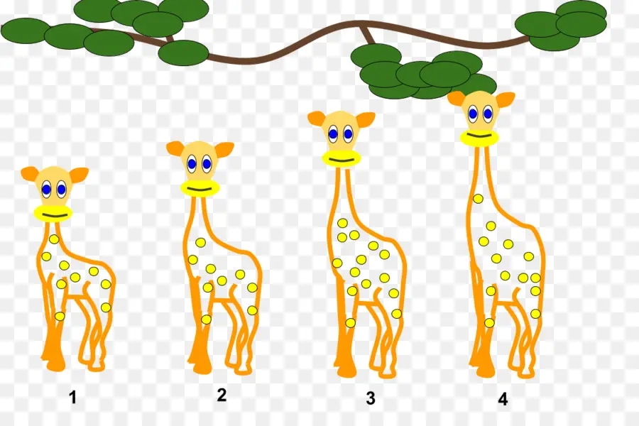 Girafes，Animaux PNG