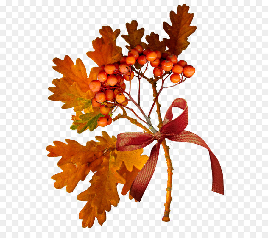 Feuilles D'automne，Automne PNG