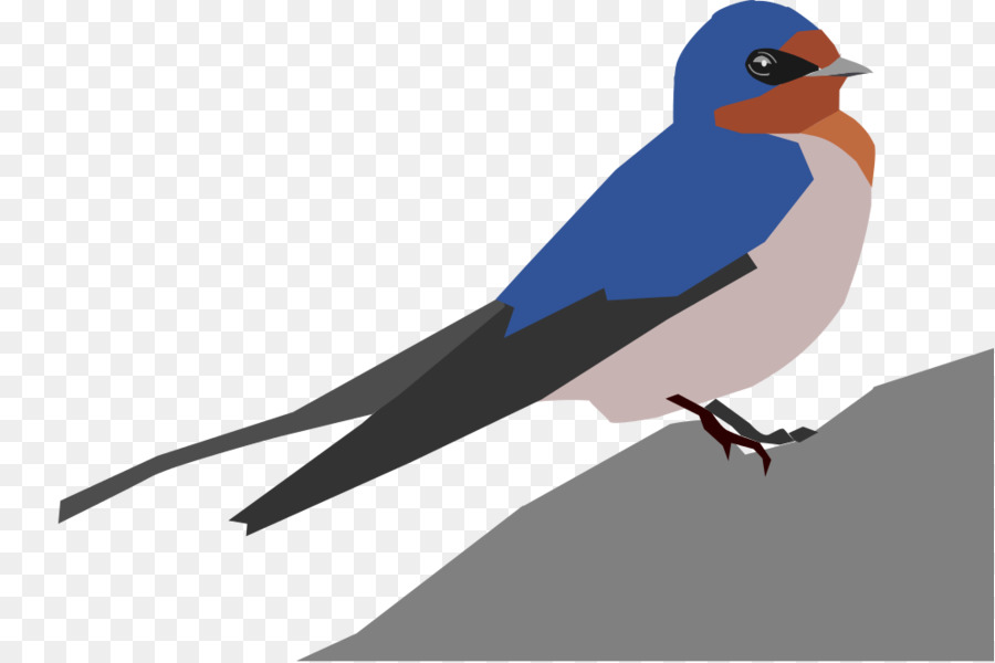 Oiseau，Hirundininae PNG