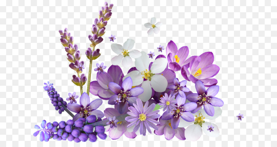 Fleurs，Violet PNG