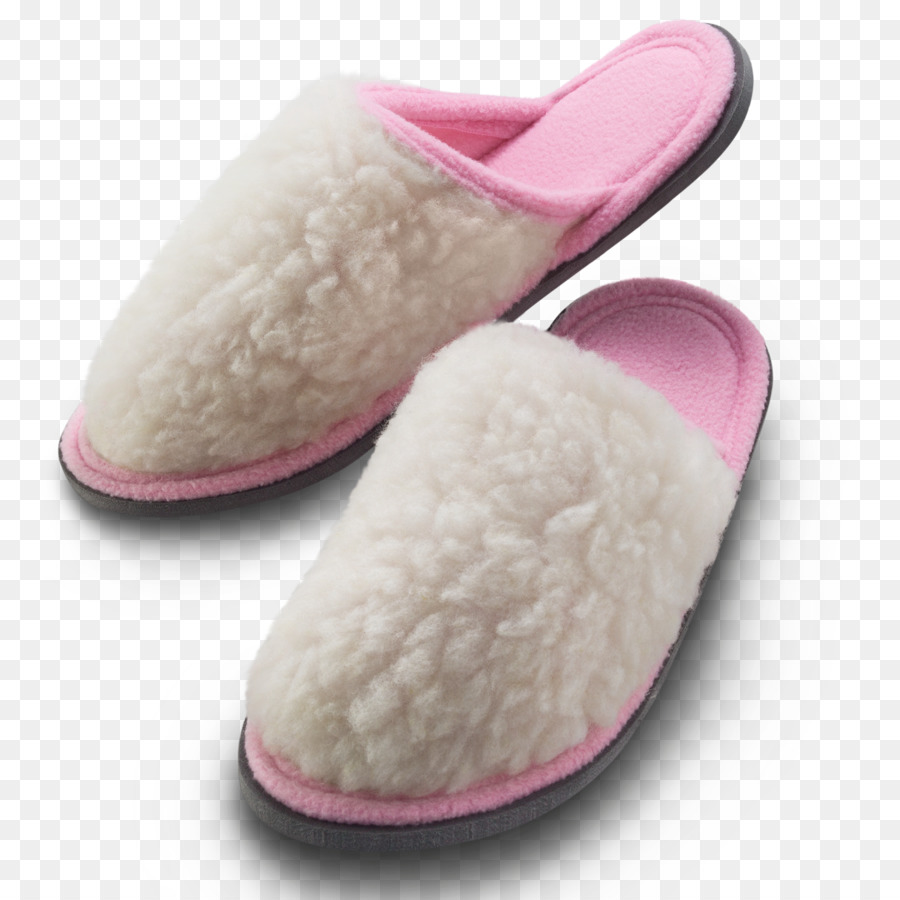 Pantoufle，Chaussures PNG