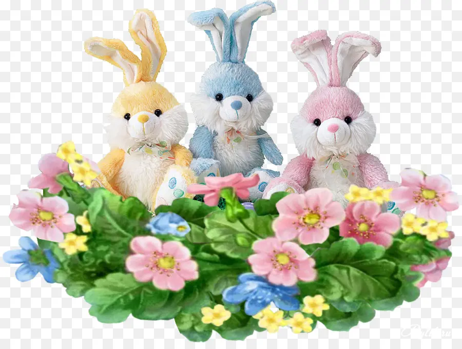 Lapins，Lapin PNG