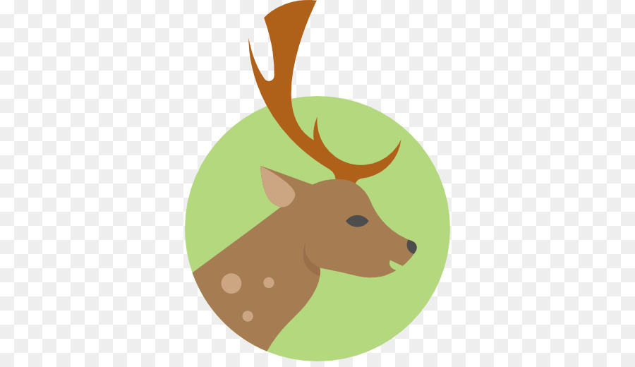 Tête De Cerf，Bois PNG