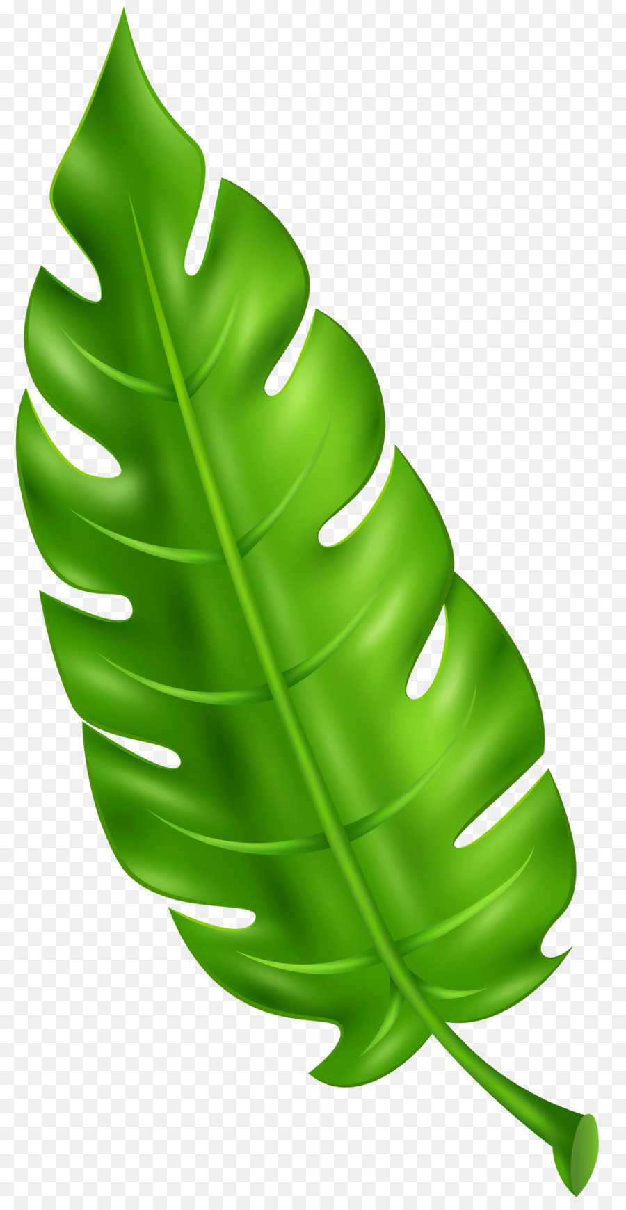 Feuille Verte，Usine PNG