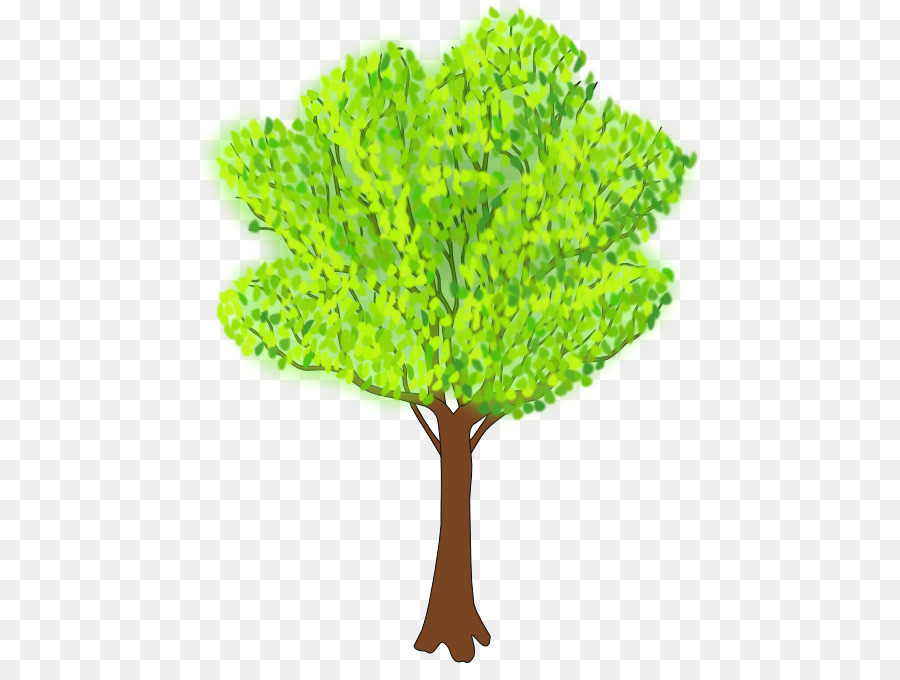 Arbre Vert，Feuilles PNG