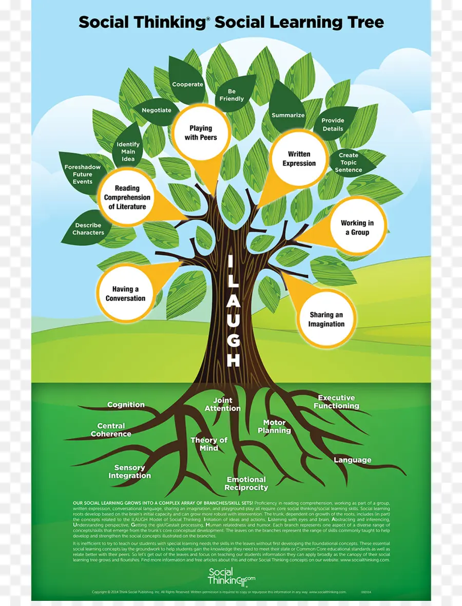 Arbre D'apprentissage Social，Diagramme PNG