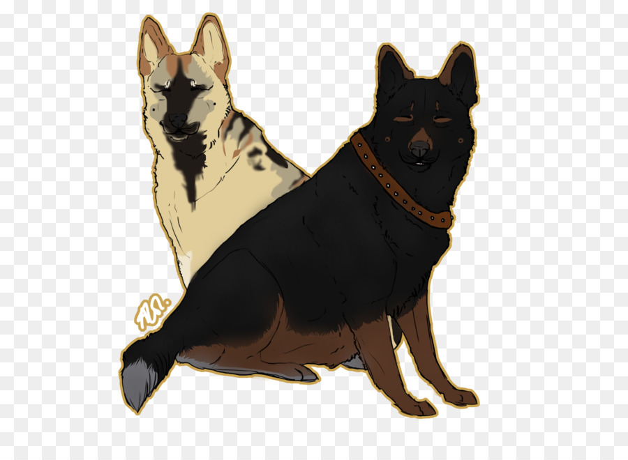 Schipperke，Berger Allemand PNG