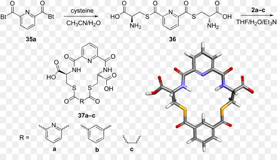 Structure Chimique，Molécule PNG