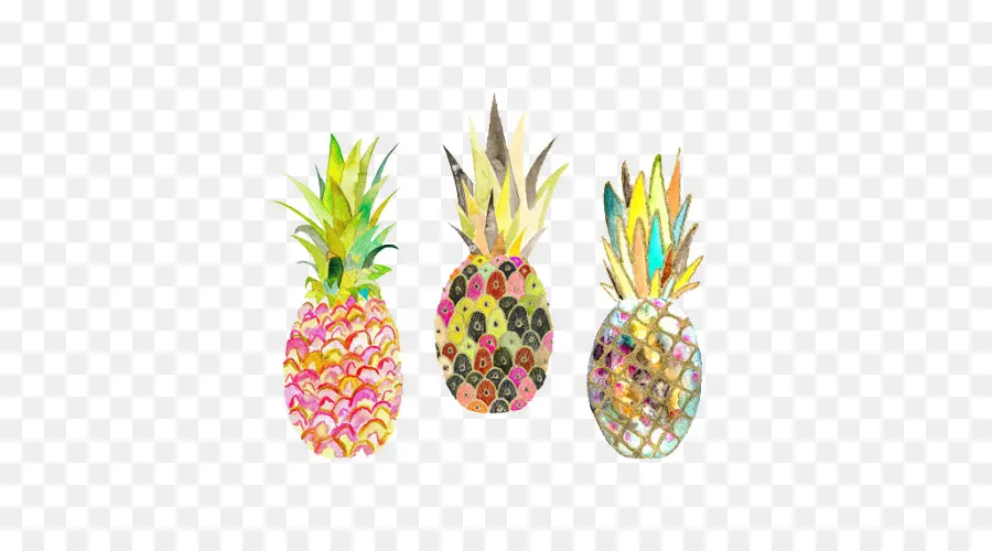 Ananas Colorés，Tropical PNG