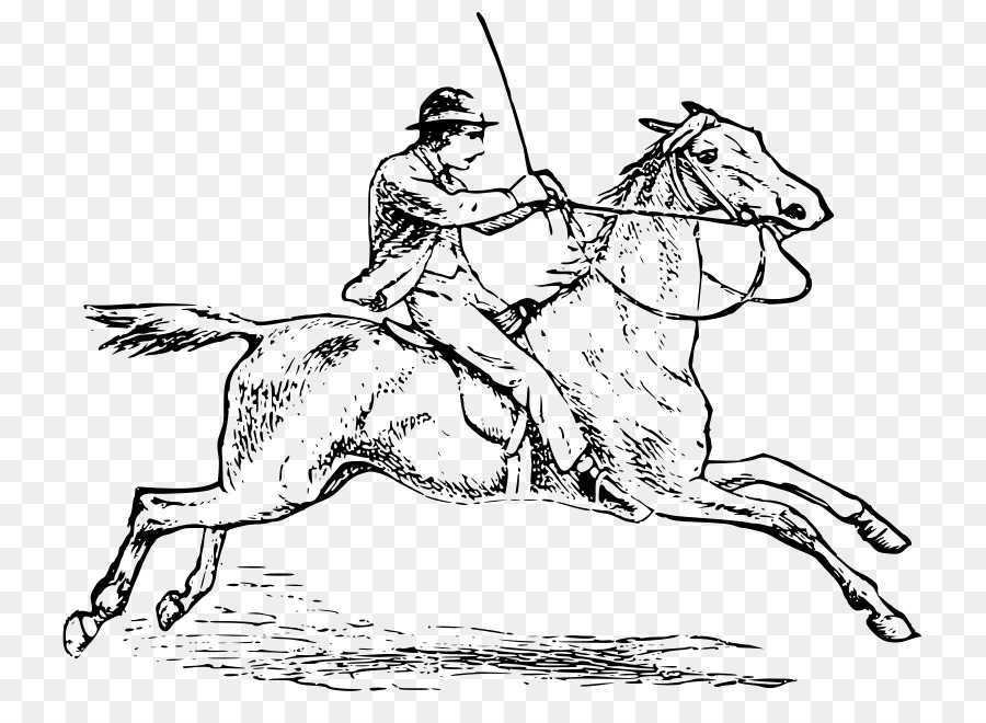 Cheval，Cavalier PNG