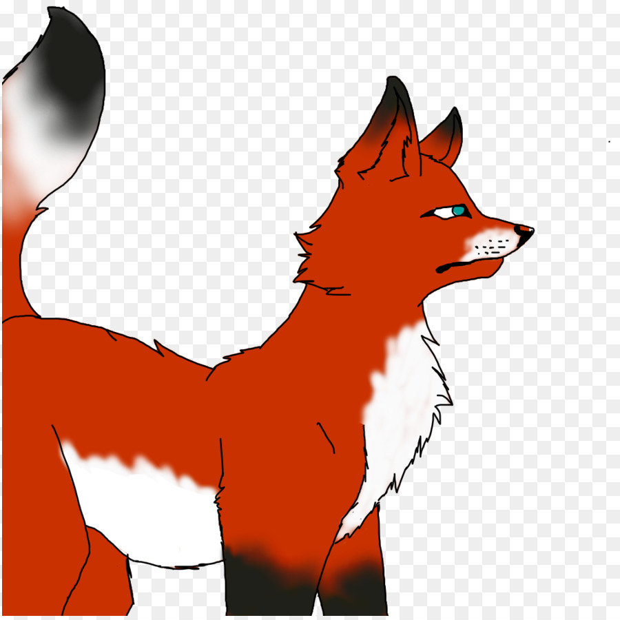 Renard Rouge，Fox PNG