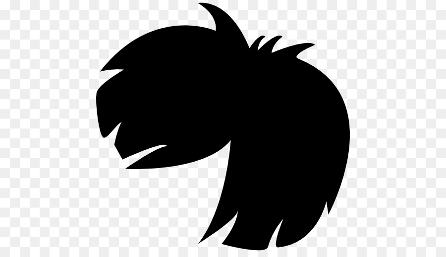 Les Cheveux Noirs，Cheveux PNG